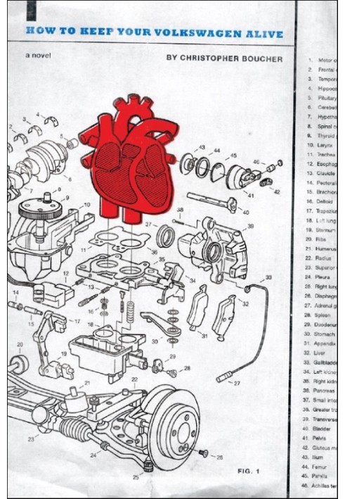 How to Keep Your Volkswagen Alive