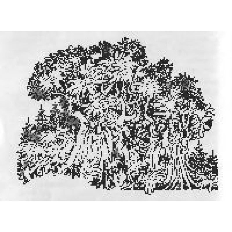 The Magic Mirror, or the...