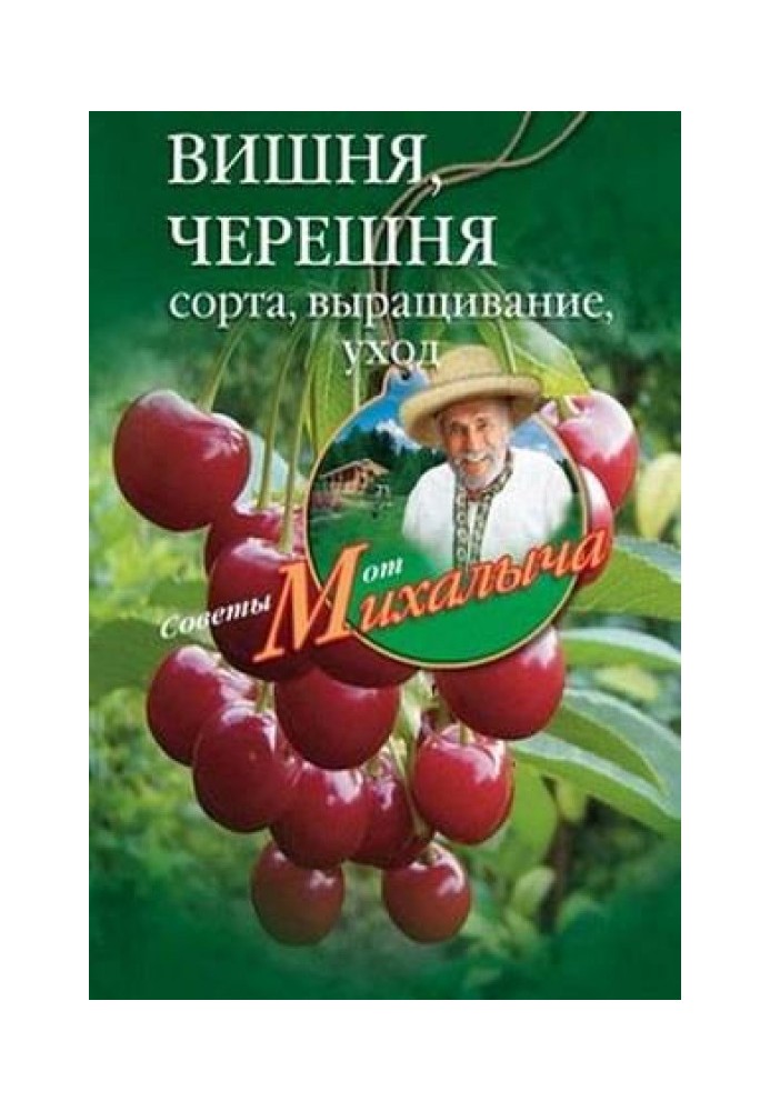 Cherry, sweet cherry. Varieties, cultivation, care, preparations