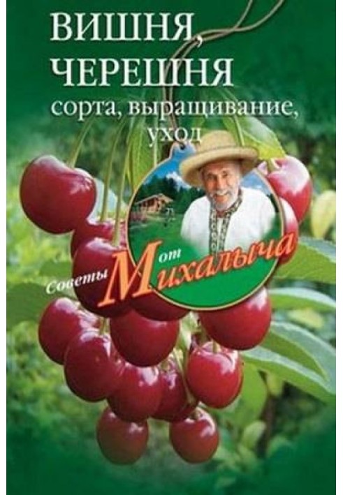 Cherry, sweet cherry. Varieties, cultivation, care, preparations