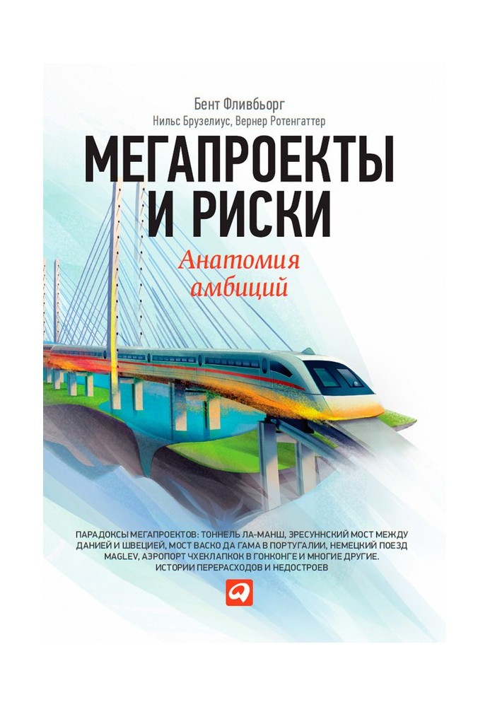Megaprojects and risks. Anatomy of ambition