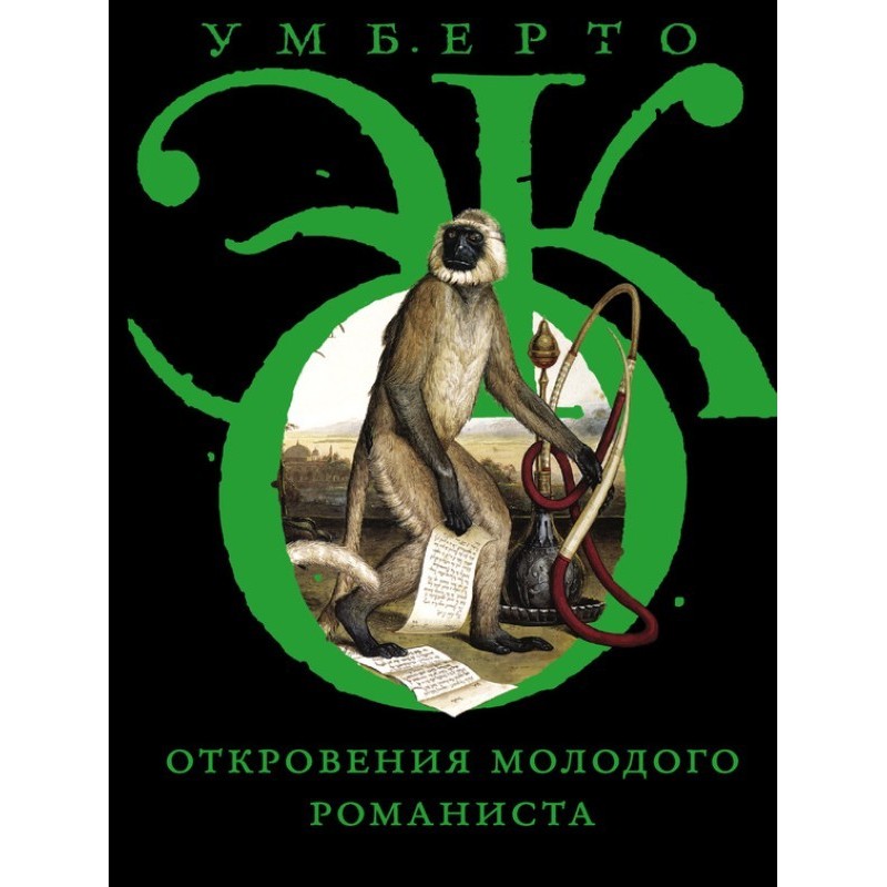 Откровения молодого романиста