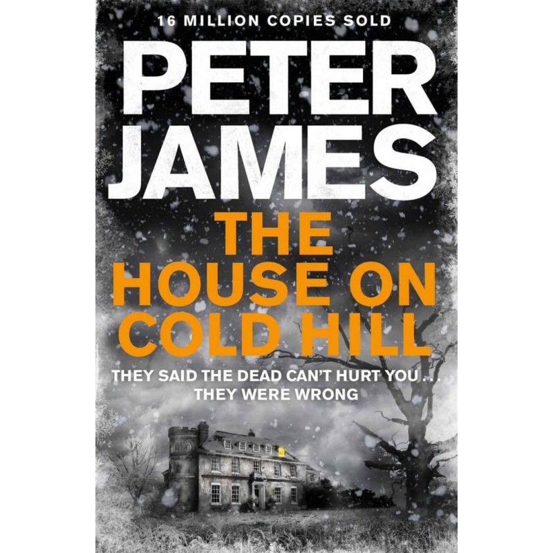 The House on Cold Hill