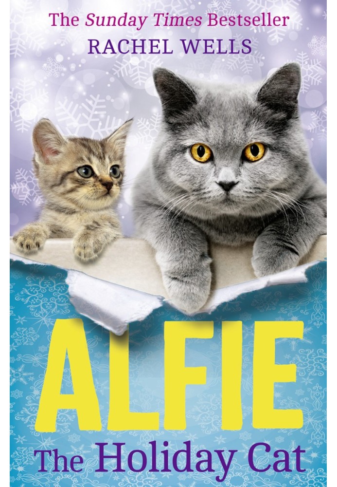 Alfie The Holiday Cat