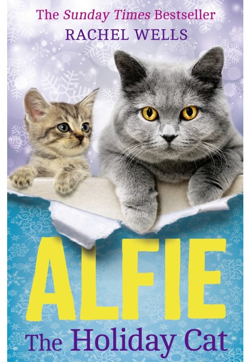 Alfie The Holiday Cat