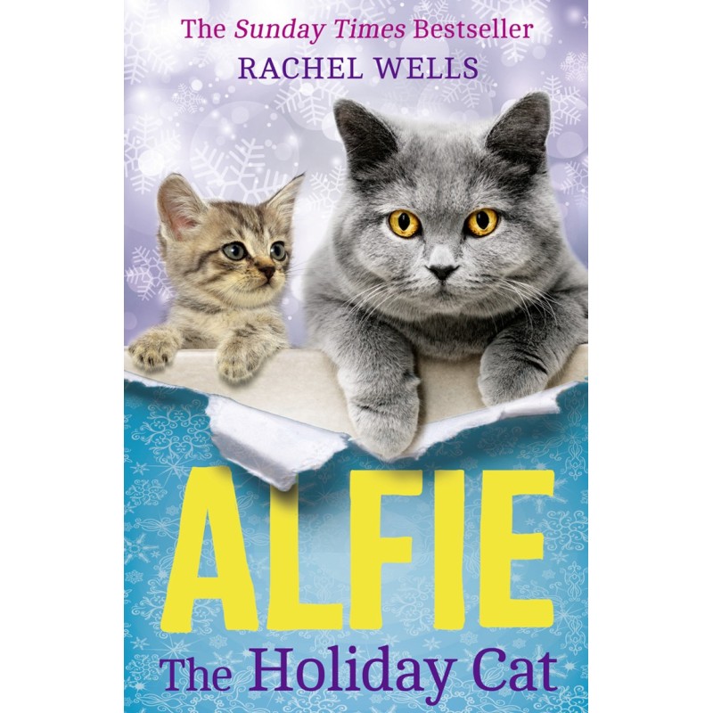 Alfie The Holiday Cat