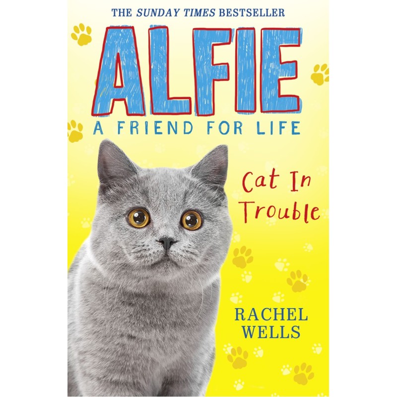 Alfie Cat In Trouble