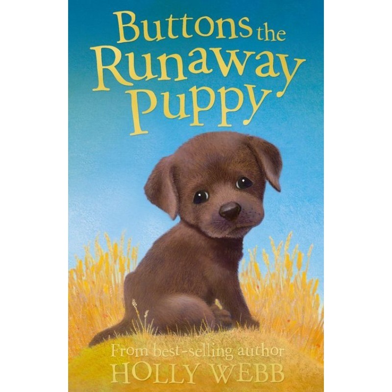 Buttons the Runaway Puppy
