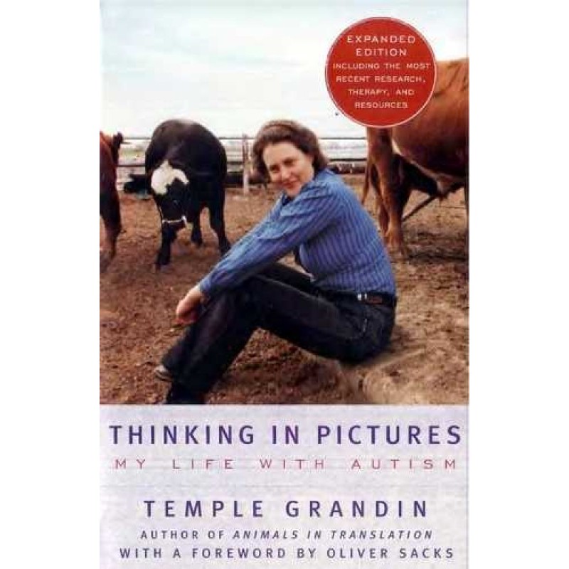 Thinking in pictures