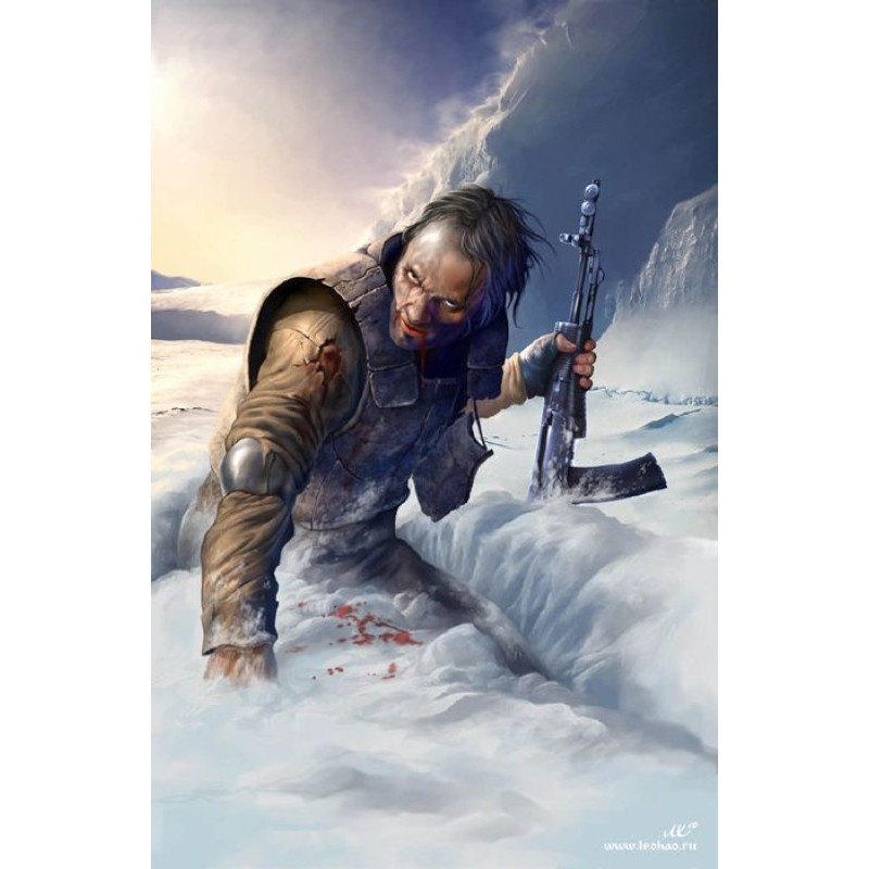 ISLAND. Taimyr protects you