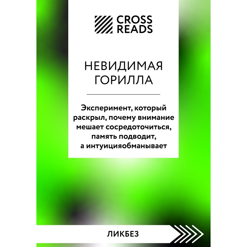 Саммари книги «Невидимая...