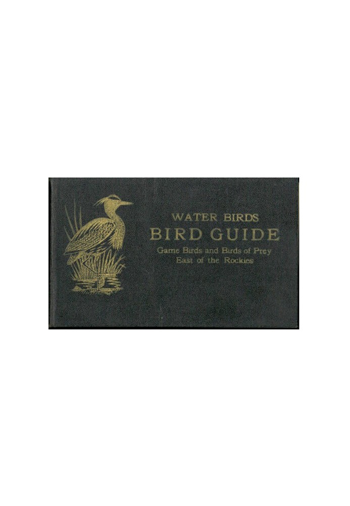 Bird Guide: Water Birds, Game Birds, and Birds of Prey East of the Rockies