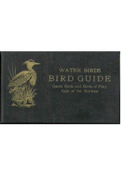 Bird Guide: Water Birds, Game Birds, and Birds of Prey East of the Rockies