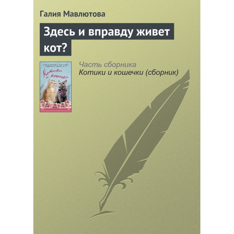 Does a cat really live here?