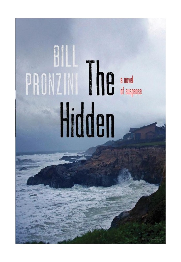 The Hidden: A Novel of Suspense