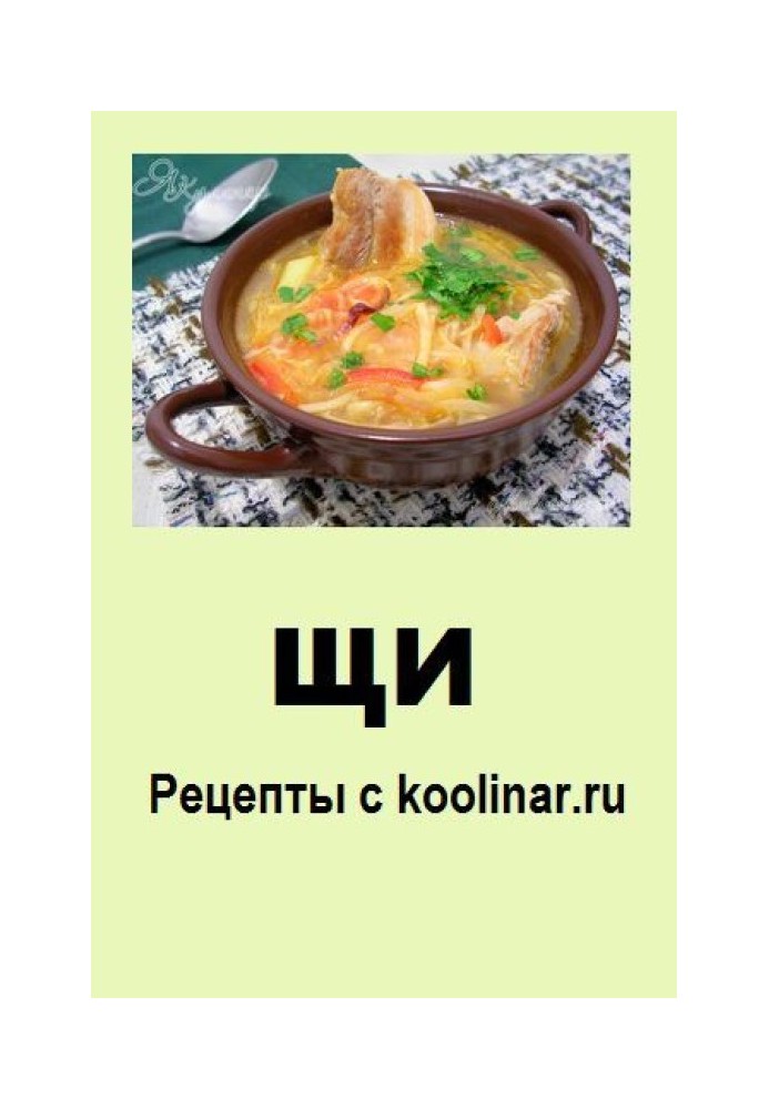 Cabbage soup Recipes from koolinar.ru