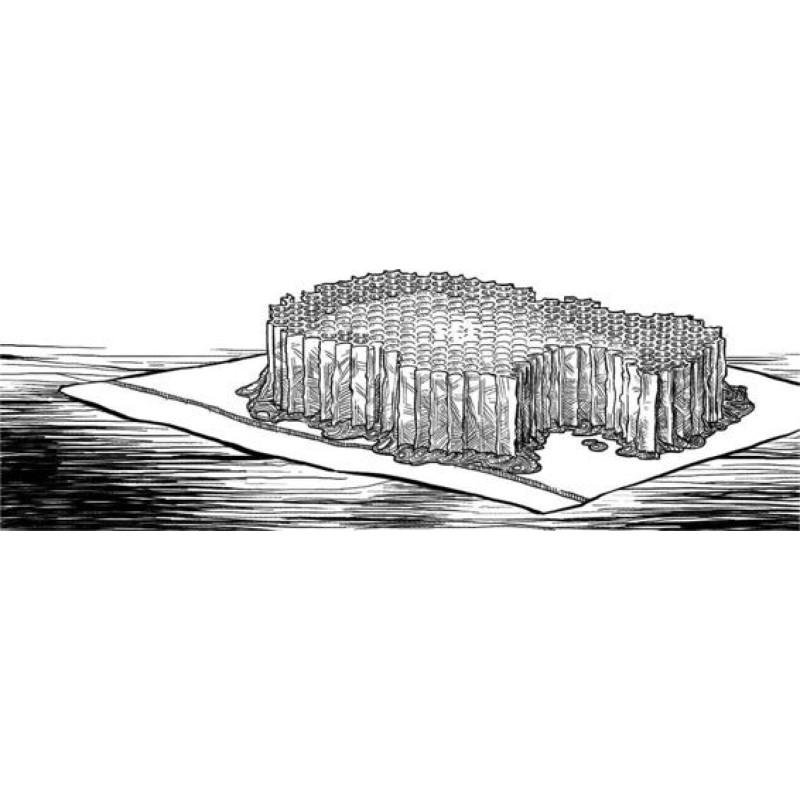 The Slow Regard of Silent...