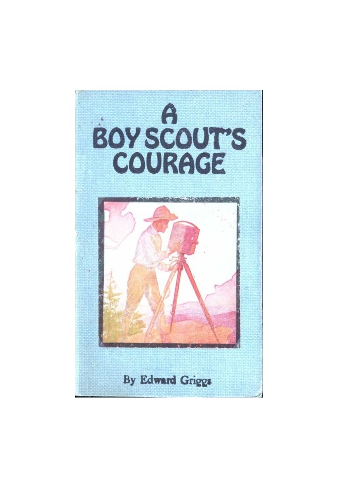 A Boy Scout's Courage