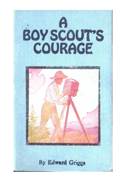 A Boy Scout's Courage