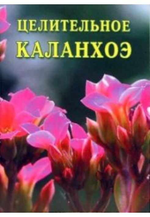 Healing Kalanchoe