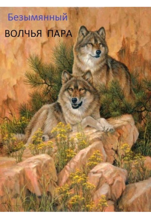 Wolf couple