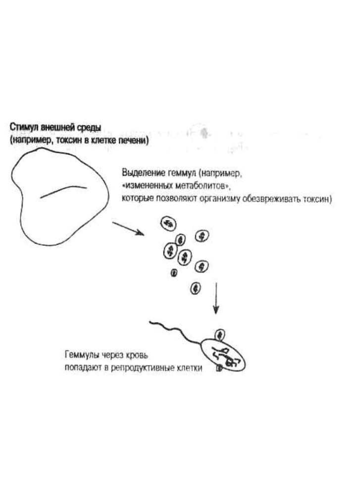 What if Lamarck is right? Immunogenetics and evolution