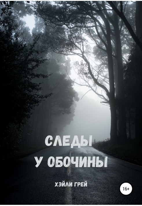 Следы у обочины