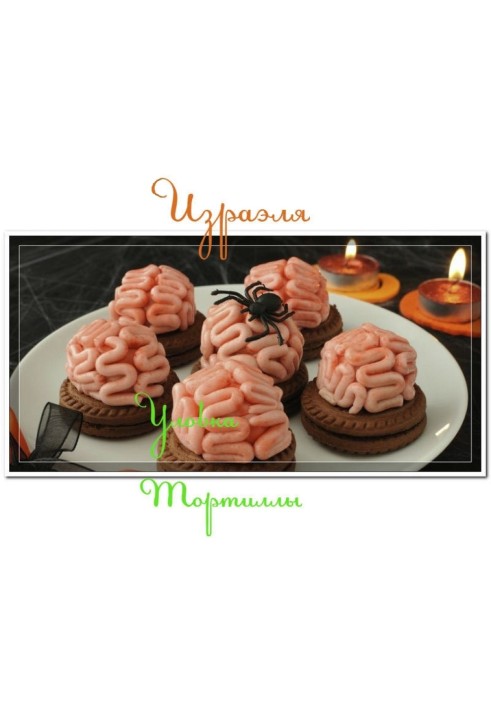 Виверт Тортили