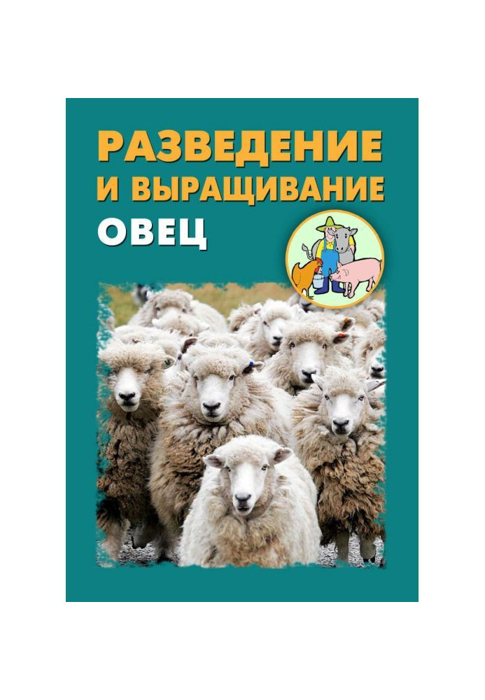 Розведення і вирощування овець