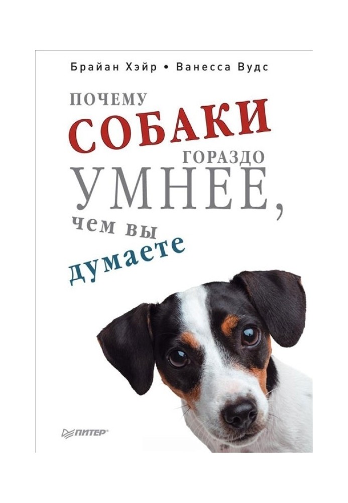 Why dogs are much smarter than you think