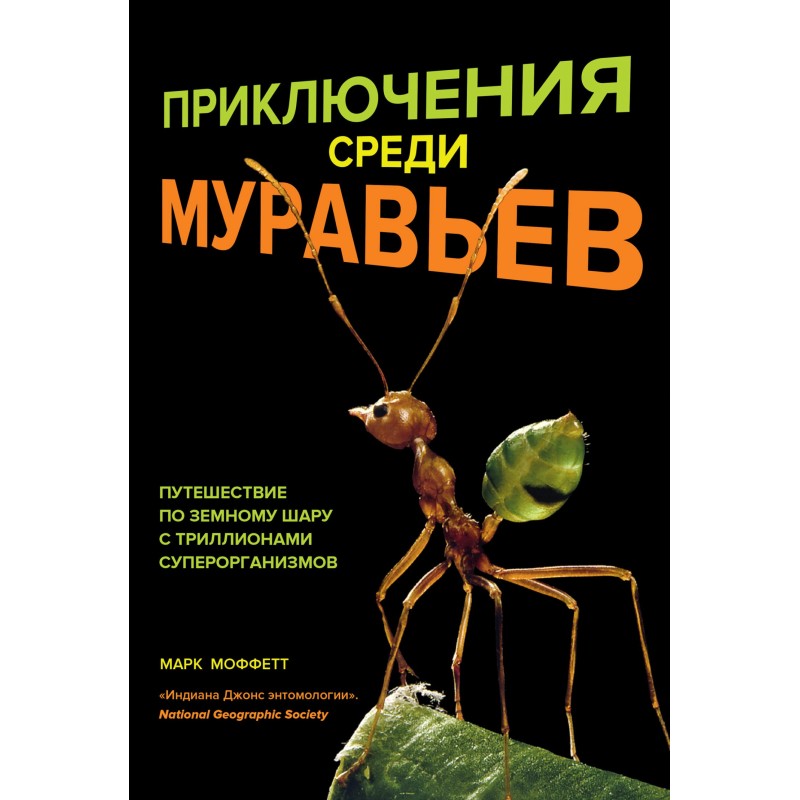 Adventures among the ants....