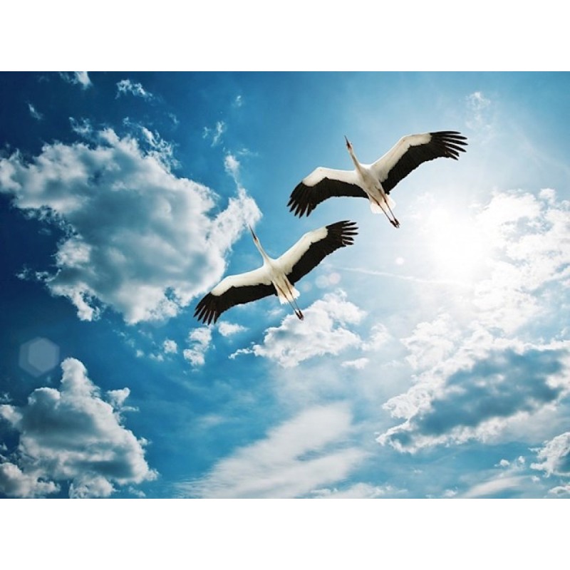 Appendix to the trilogy of...