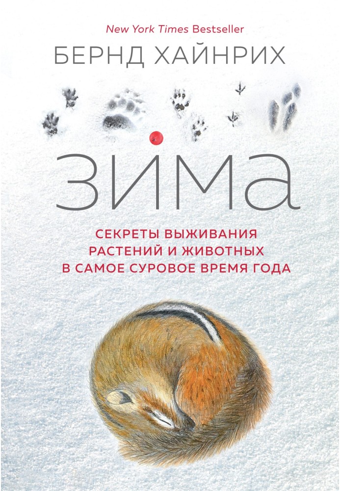 Winter. Secrets of survival of plants and animals in the harshest time of the year