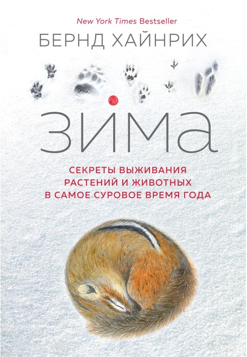 Winter. Secrets of survival of plants and animals in the harshest time of the year