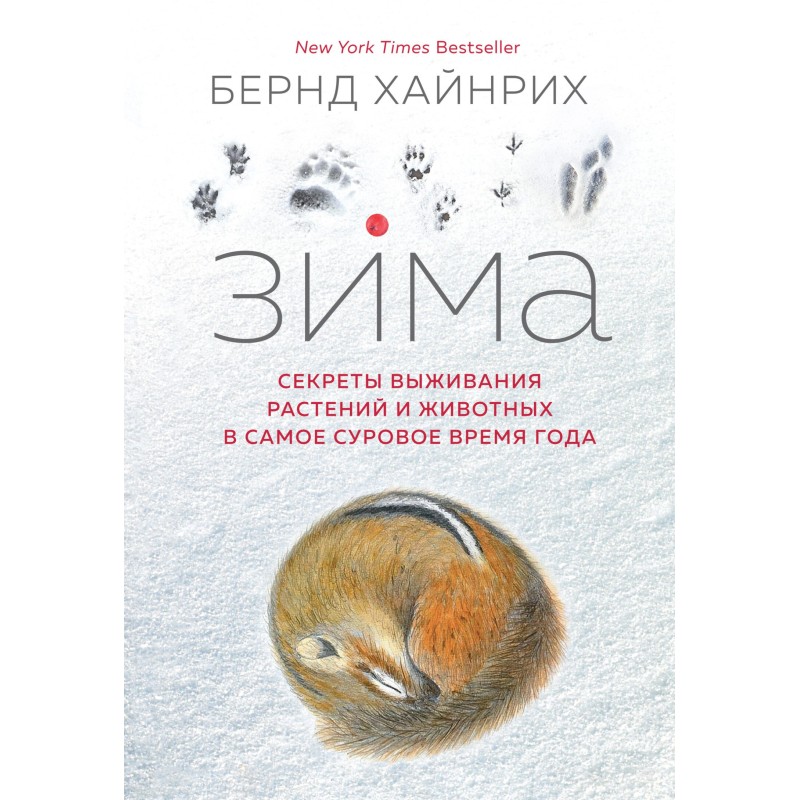 Winter. Secrets of survival...
