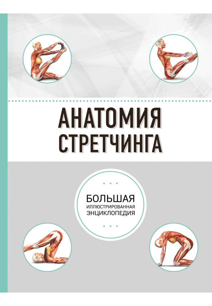 Anatomy of stretching. Large illustrated encyclopedia