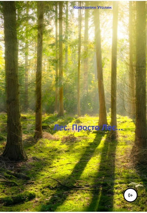 Forest. Just Forest...