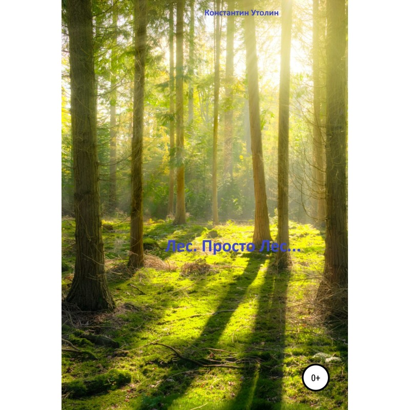 Forest. Just Forest...