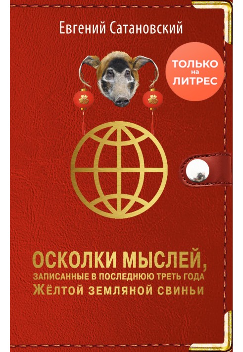 Осколки мыслей, записанные в последнюю треть года Жёлтой Земляной Свиньи