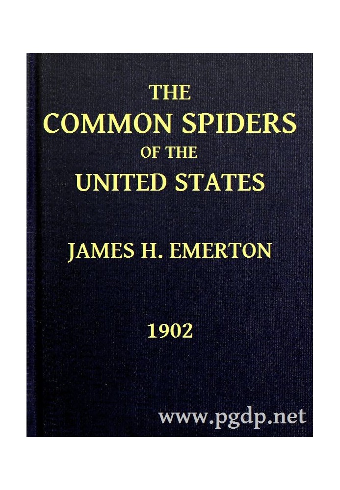 The Common Spiders of the United States