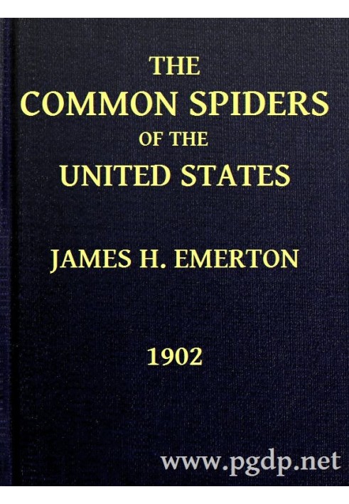 The Common Spiders of the United States