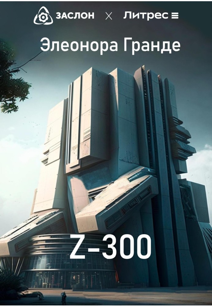 Z-300