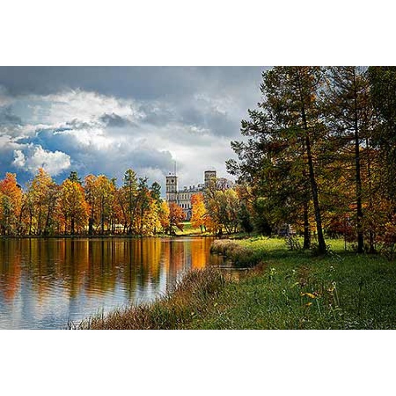 Старшокласниця