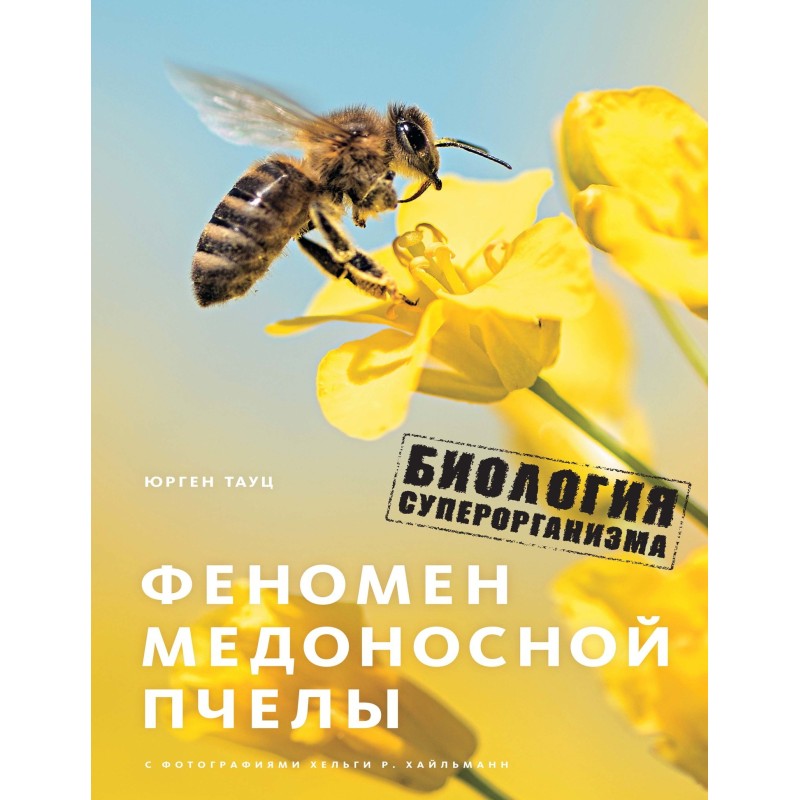 The phenomenon of the honey...