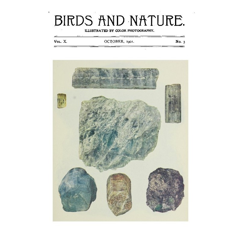 L'Illustration, No. 1609,...