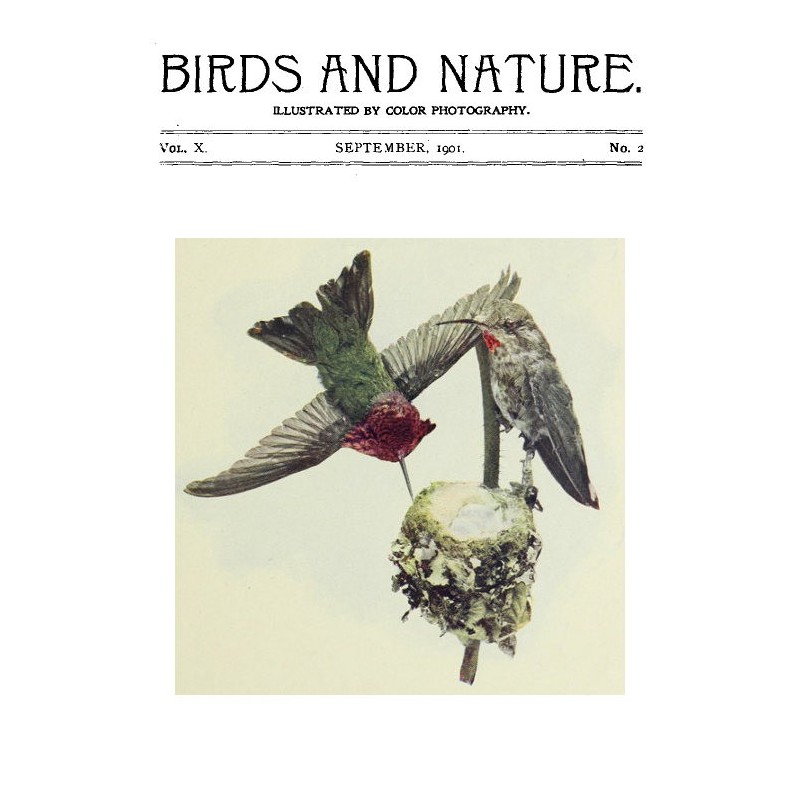 Birds and Nature, Vol 10...