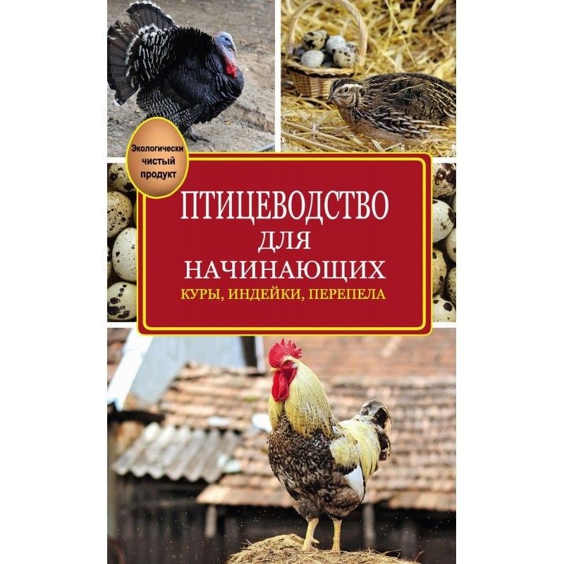 Poultry farming for beginners