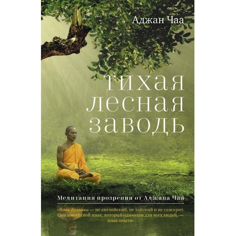 Тихий лісовий затон....