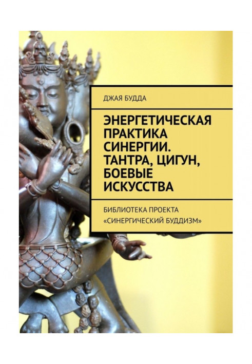 Енергетична практика синергії. Тантра, цигун, бойові мистецтва. Бібліотека проекту "Синергетичний буддизм"