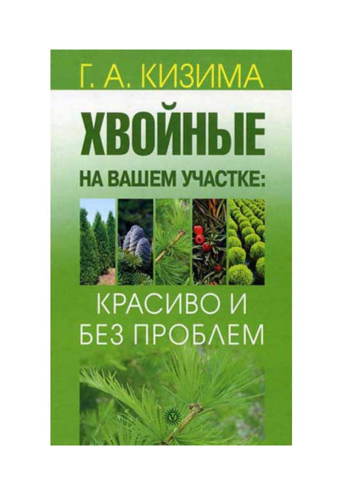 Хвойні на вашій ділянці: красиво і без проблем